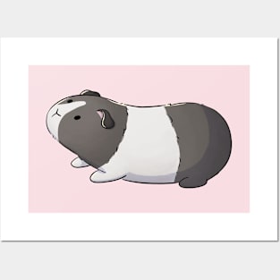 Black And White Guinea Pig Posters and Art